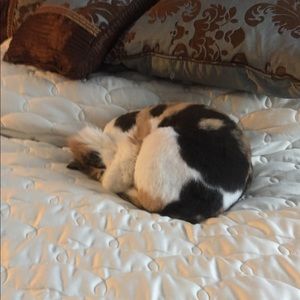 Meet your Posher, Gina